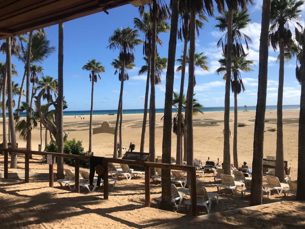 Casa Palmera Costa De Antigua Εξωτερικό φωτογραφία