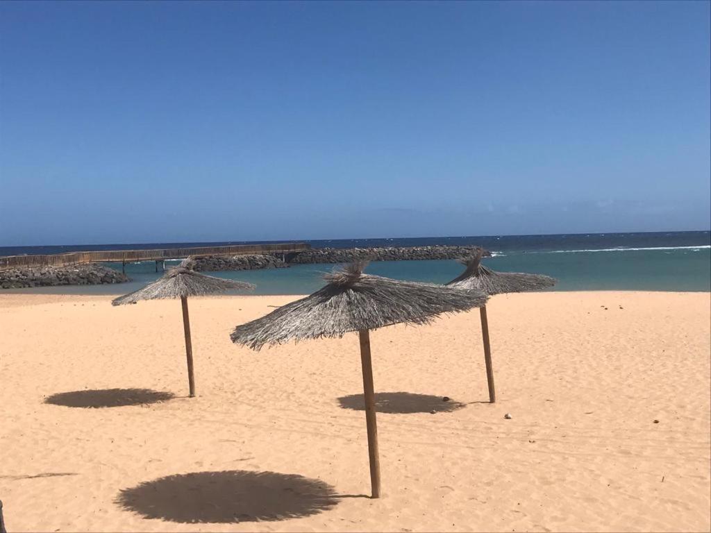 Casa Palmera Costa De Antigua Εξωτερικό φωτογραφία